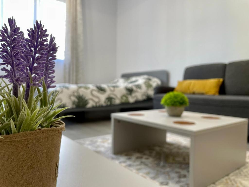 Belvedere Apartments Bükreş Dış mekan fotoğraf